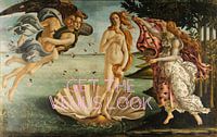 'Get the Venus Look' van Gisela- Art for You thumbnail