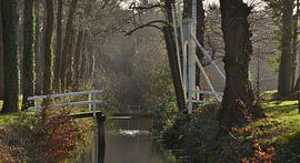Landgoed Overcinge te Havelte (Drenthe) by Henk Mulder