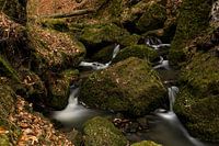 Stroomversnellingen in de Amselgrund in het Elbezandsteengebergte