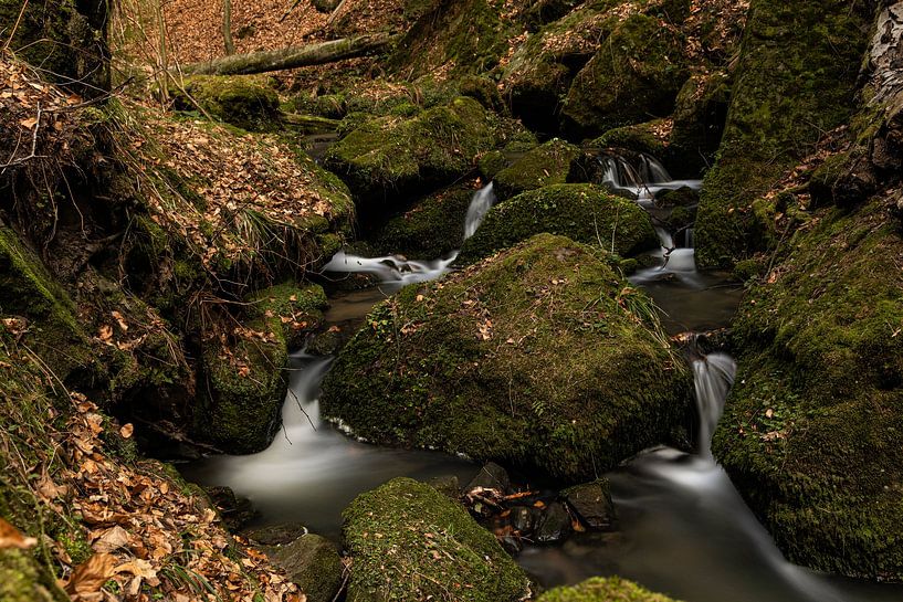 Rapides dans l'Amselgrund dans les montagnes de l'Elbsandstein par Alexander Ließ