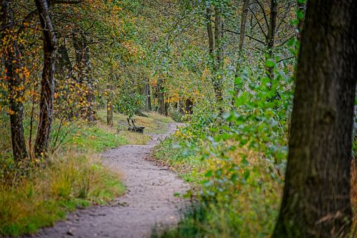 Herfstkleuren van het Zwart Water van Jos Saris