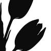 Tulipes sur Caroline Guerain