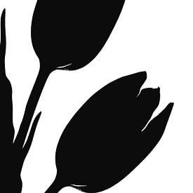 Tulpen van Caroline Guerain