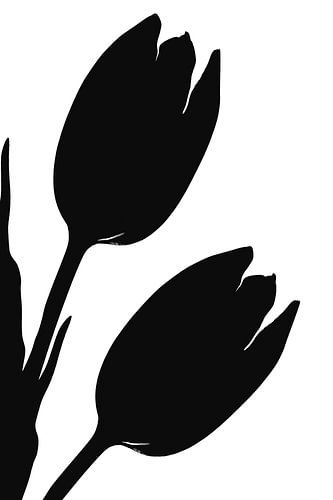 Tulpen von Caroline Guerain