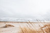 Ein blauer Himmel über einem goldenen Strand | Monster, Holland von Wandeldingen Miniaturansicht