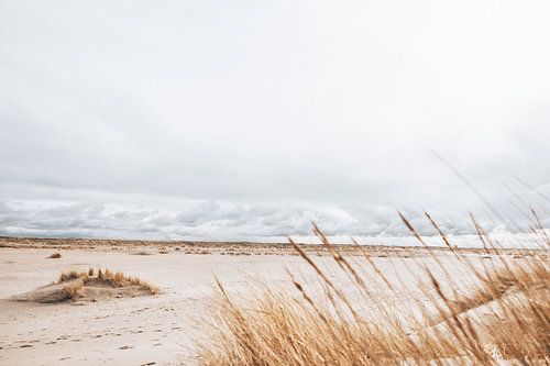 Wolken boven de Zandmotor | Monster, Holland