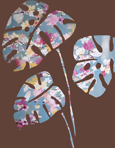 Monstera Autumn