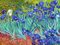 Irissen - Vincent van Gogh - 1889