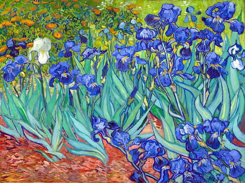 Schwertlilien - Vincent van Gogh - 1889 von Doesburg Design