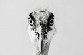 Kranich von Poster Art Shop