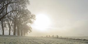 Frosty winter landscape during an early misty morning