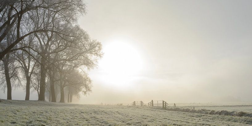 Zonlicht over de velden met rijp in de winter van Sjoerd van der Wal Fotografie