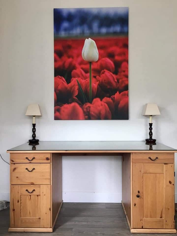 De witte koninging