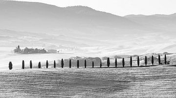 Toscaans landschap bij San Quirico
