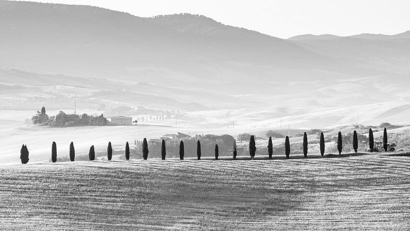Toscaans landschap bij San Quirico van Felix Sedney