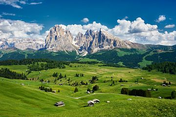 Seiser Alm in Südtirol mit der Langkofelgruppe im Hintergrund