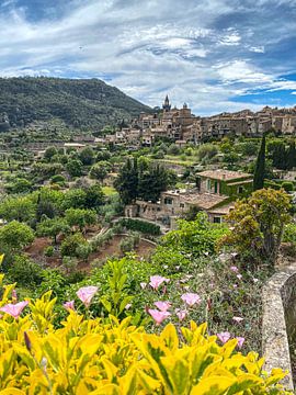 Valdemossa Mallorca im Frühling von Robert Styppa
