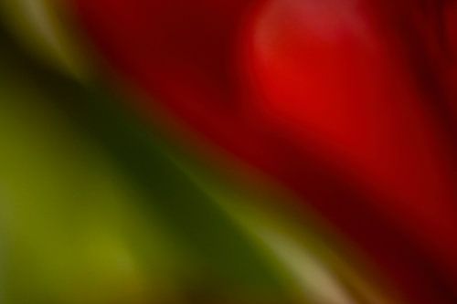 Abstracte rood met groene diagonaal