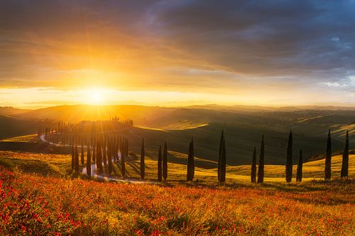 Tuscany at sunset
