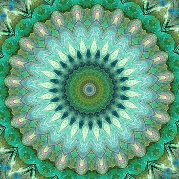 Mandala Wald und Wiese