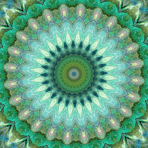 Mandala forêt et prairie