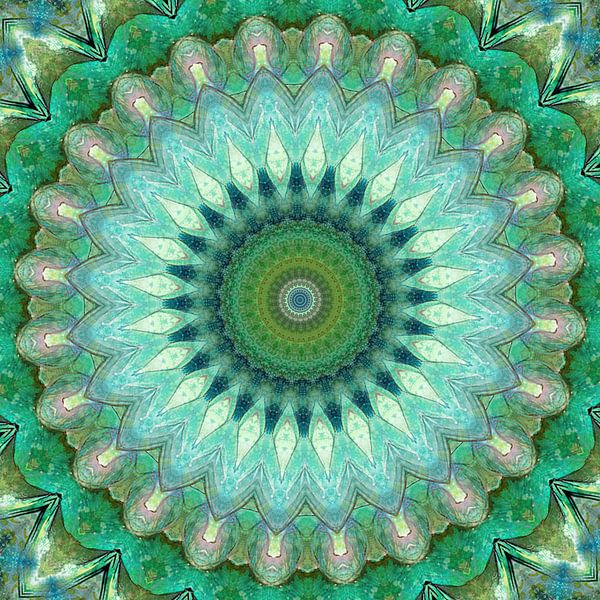 Mandala forest and meadow by Christine Bässler