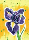 Intense iris van ART Eva Maria thumbnail