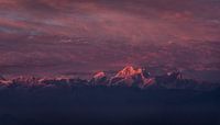 Coucher de soleil Himalaya avec un éclat rose par Ellis Peeters Aperçu