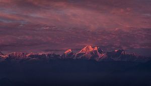 Coucher de soleil Himalaya avec un éclat rose sur Ellis Peeters