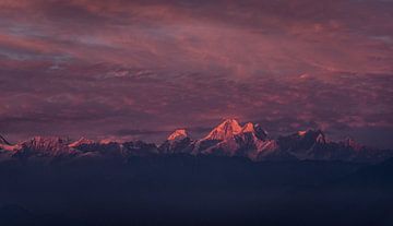 Zonsondergang Himalaya met roze gloed van Ellis Peeters