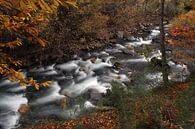 Der Herbstfluss von Cornelis (Cees) Cornelissen Miniaturansicht