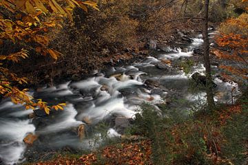 La rivière d'automne sur Cornelis (Cees) Cornelissen