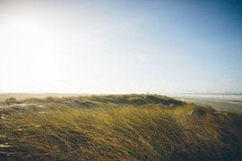dunes netherlands by Paul Jespers