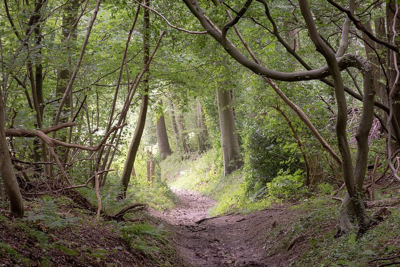 door guards by rob creemers