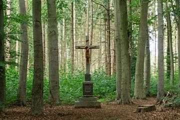 Beeld van Jezus aan het kruis in een bos