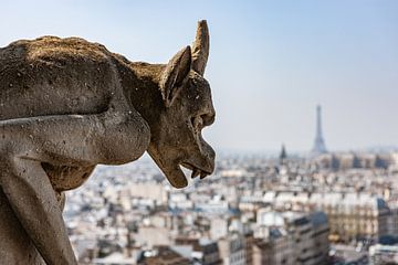 Blick auf Paris von Notre Dame aus von Henk Meijer Photography