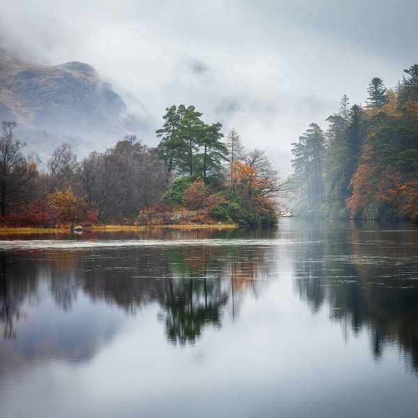 Der Herbst spiegelt sich in Loch Trool in Schottland von Michel Seelen