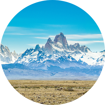 Bergen van Patagonië van Ronne Vinkx