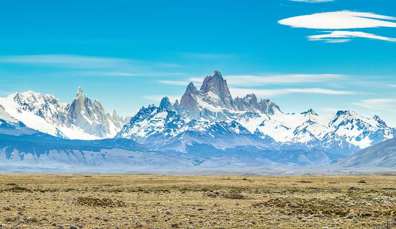Bergen van Patagonië van Ronne Vinkx