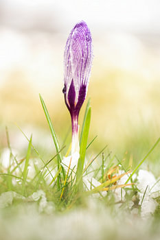 Prêt pour le printemps