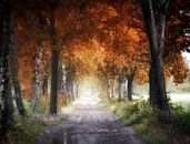 Autumn Shades van Kees van Dongen thumbnail