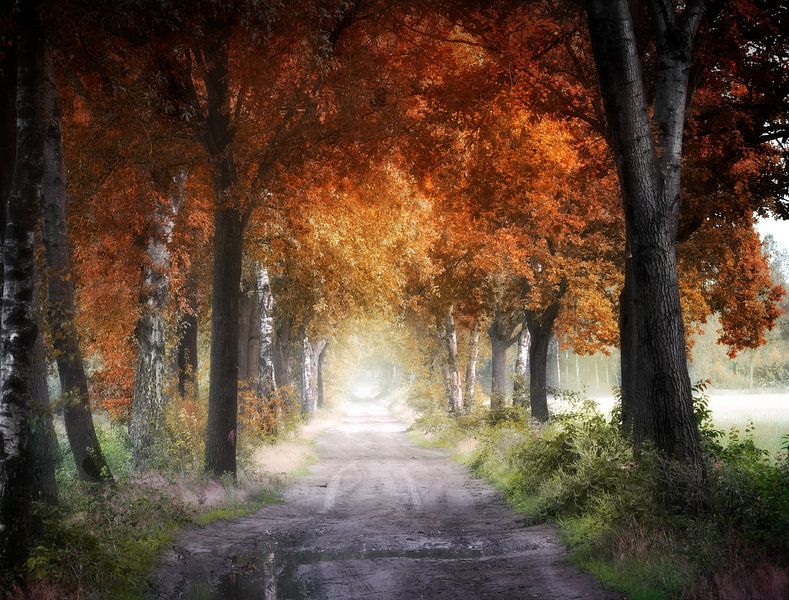 Autumn Shades van Kees van Dongen