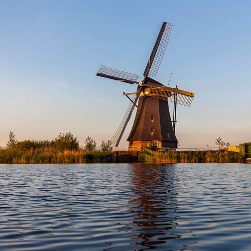 Gouden uurtje in Kinderdijk