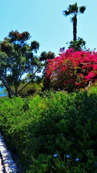 Heisler Park Laguna Beach by Marek Bednarek