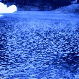 Mondnacht am Meer von Mad Dog Art