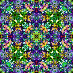 Purple Flowers