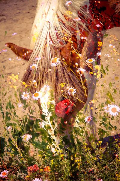 Cheval et fleur par Tanja Klac Photography