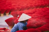The magical art of crafting colourful incense sticks revealed in enchanting Vietnam