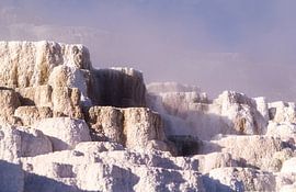 Mammoth Hot Springs in the morning mist, Yellowstone by Gerwin Schadl