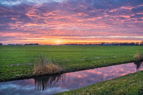 Zonsopgang bij Berlikum op het Friese platteland